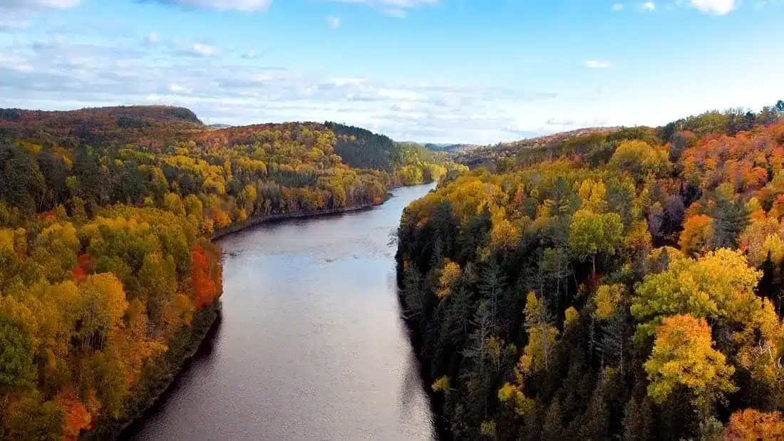 Vue aérienne par drone d'une rivière bordée de forêt en automne